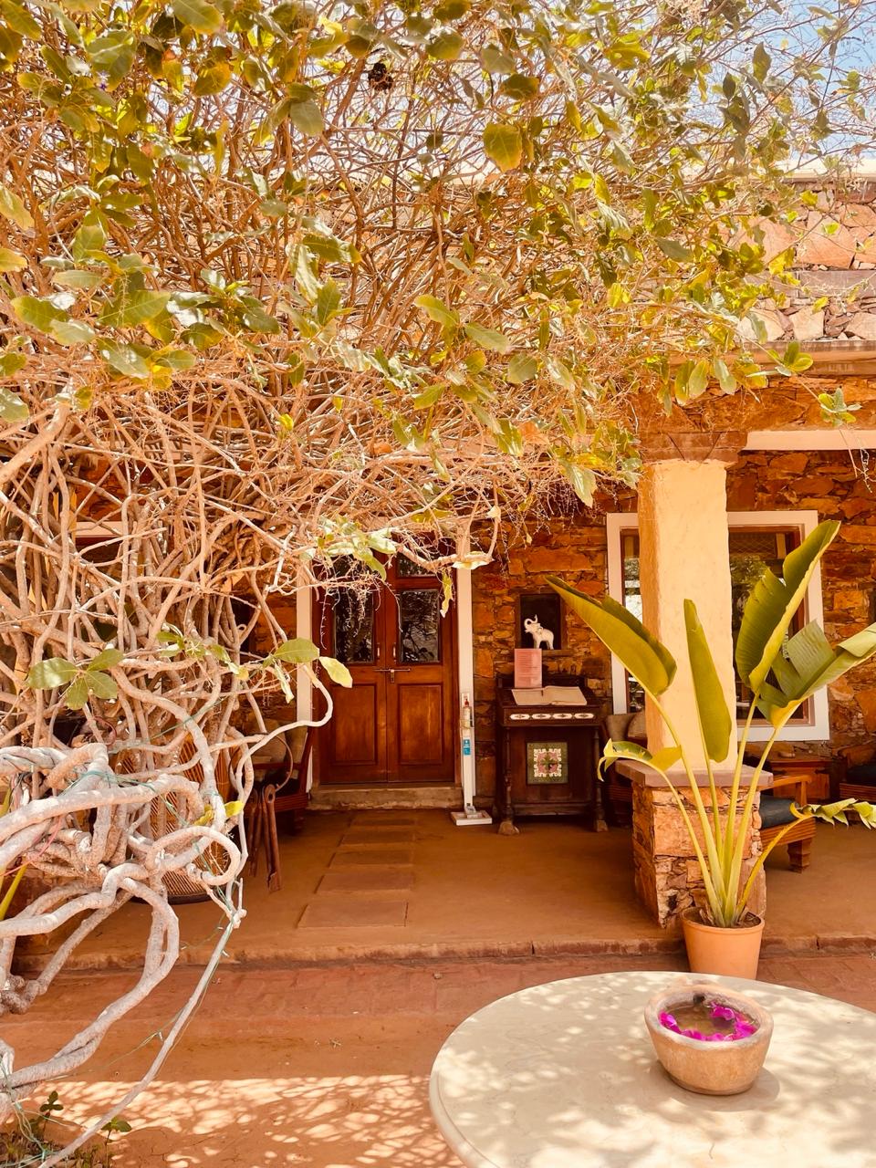 Witness heritage homestay in Undaiur with 800 year old temple in place and with flying foxes 